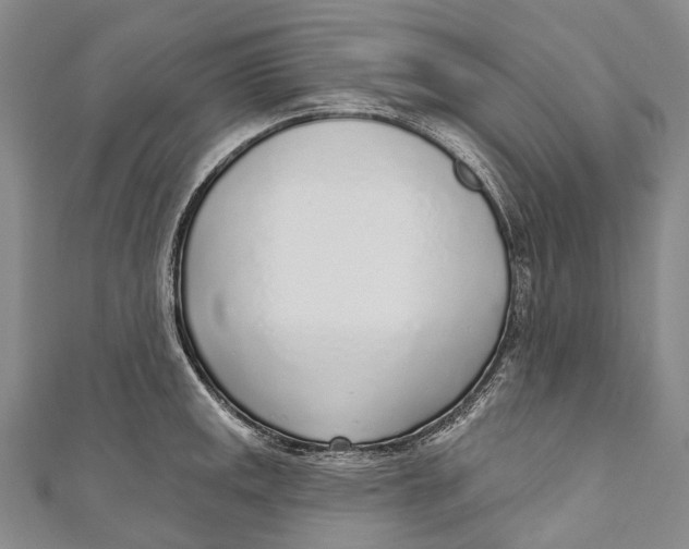 X0000110981141200907101404