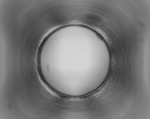 X0000110981142200907101404