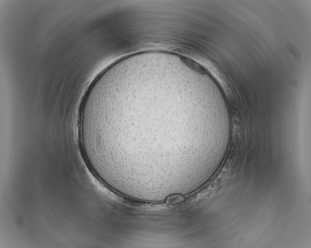 X0000110981143200907101404