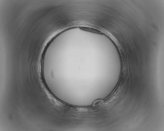 X0000110981144200907101404