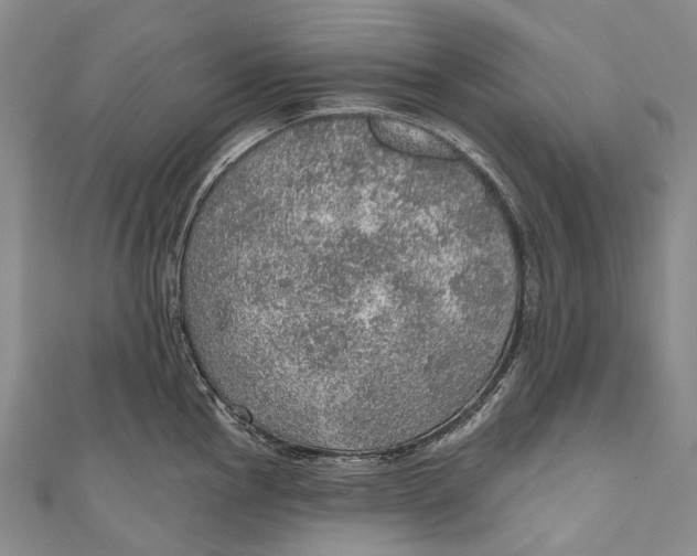 X0000110981145200907101404