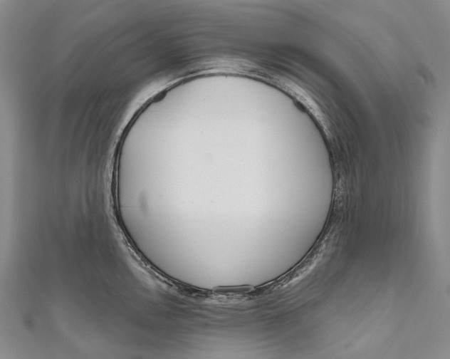 X0000110981146200907101404