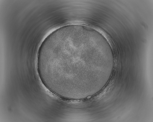 X0000110981147200907101404