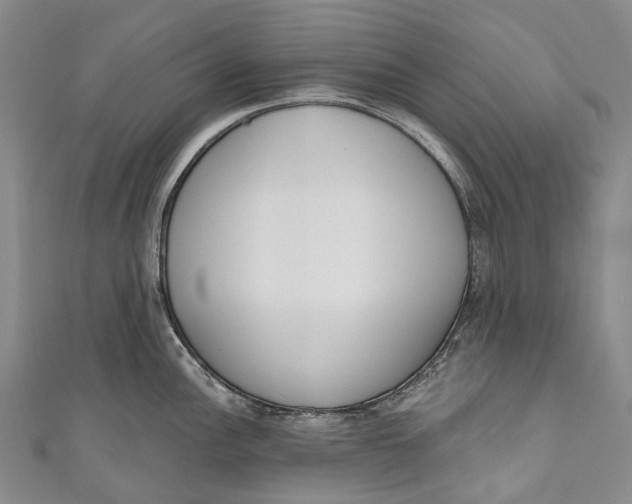 X0000110981148200907101404