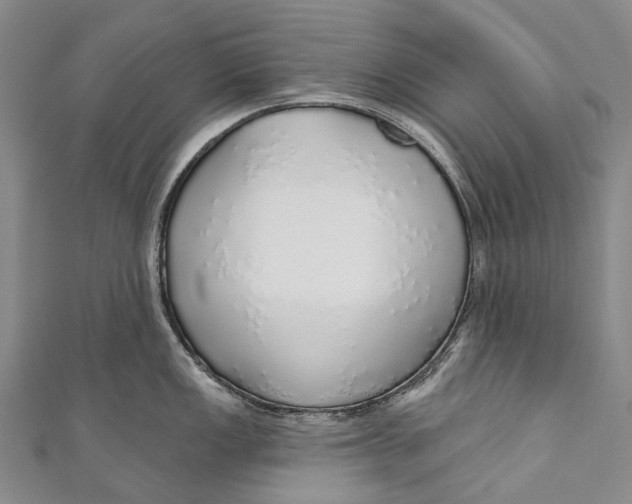 X0000110981149200907101404