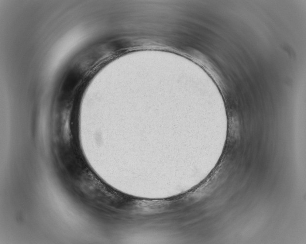 X0000110981150200907101404