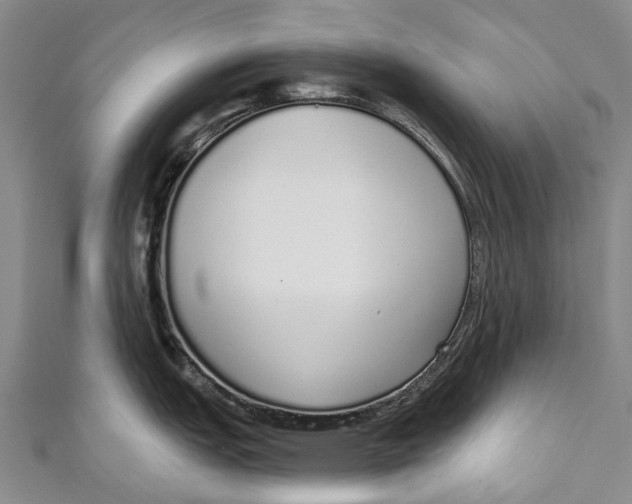 X0000110981151200907101404