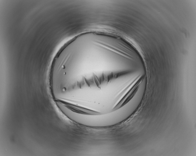 X0000110981152200907101404