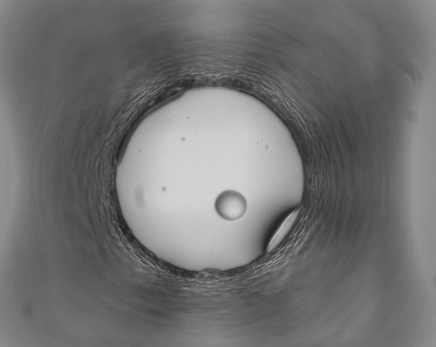 X0000110981153200907101404