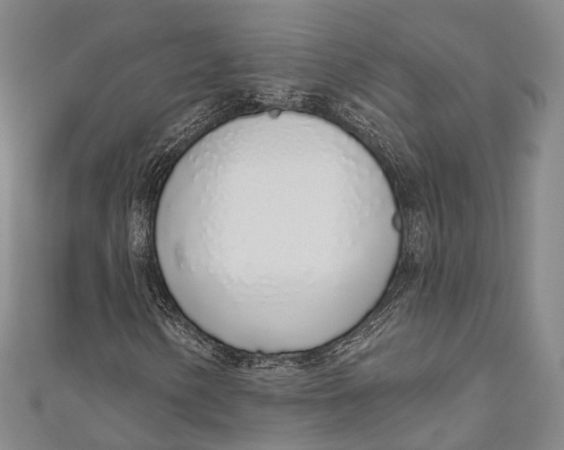 X0000110981154200907101404