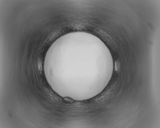 X0000110981155200907101404