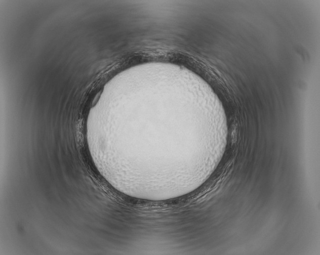 X0000110981156200907101404