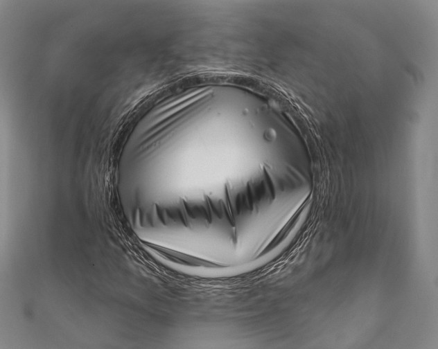 X0000110981157200907101404