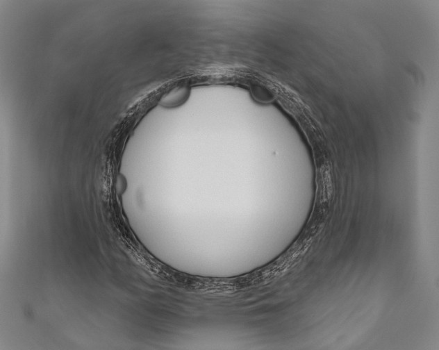 X0000110981158200907101404