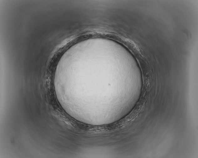 X0000110981159200907101404