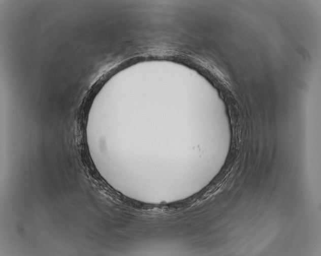 X0000110981160200907101404