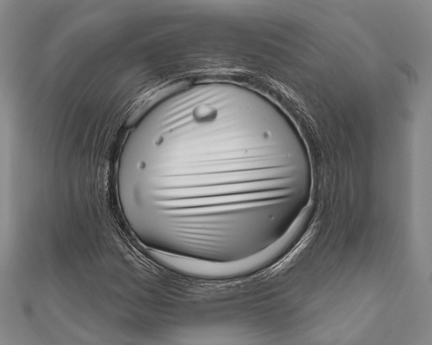 X0000110981161200907101404