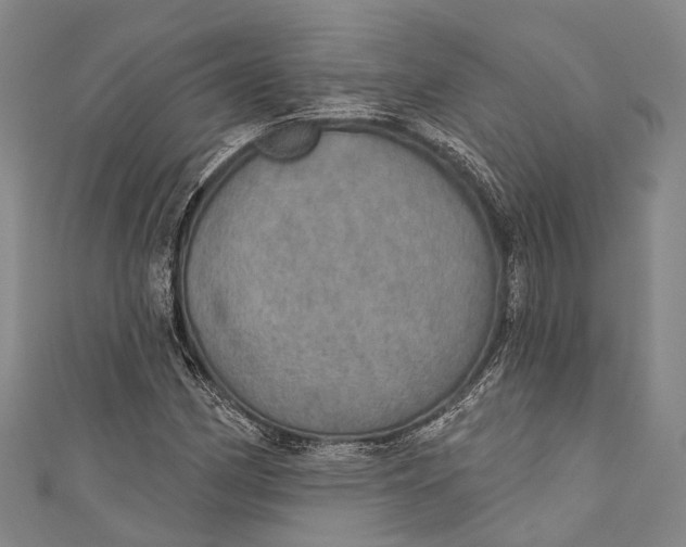 X0000110981162200907101404