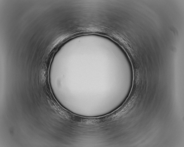 X0000110981163200907101403