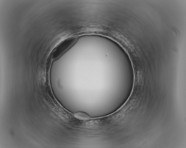 X0000110981165200907101403