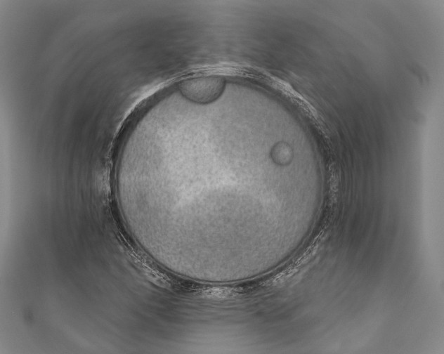 X0000110981166200907101403