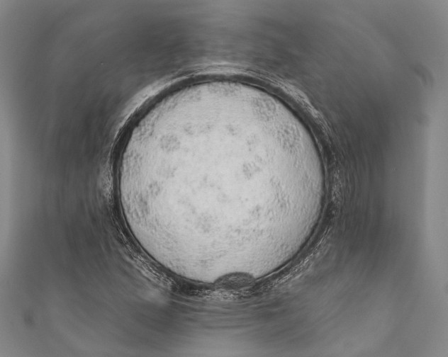 X0000110981167200907101403