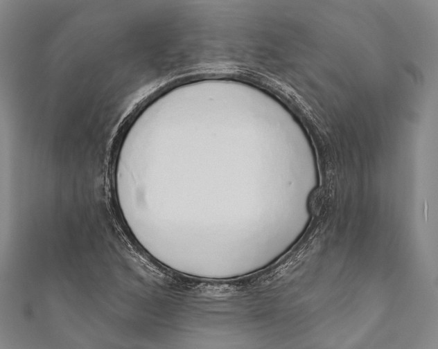 X0000110981168200907101403