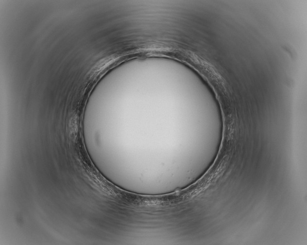 X0000110981169200907101403