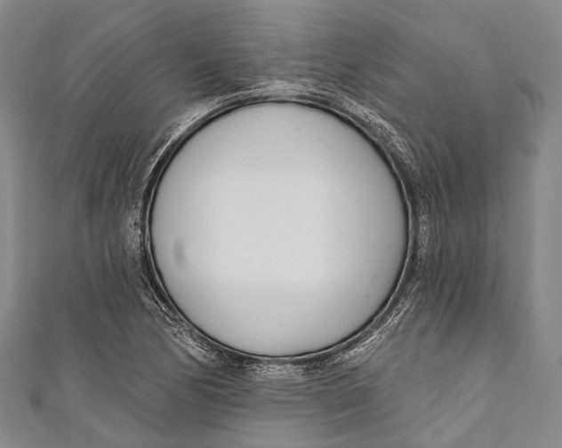 X0000110981170200907101403