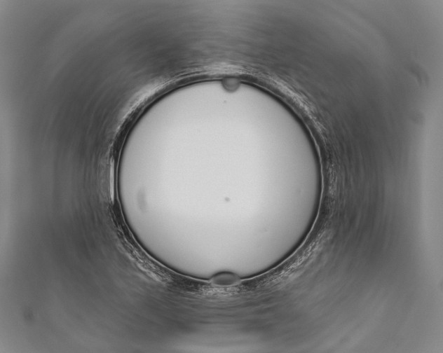 X0000110981171200907101403