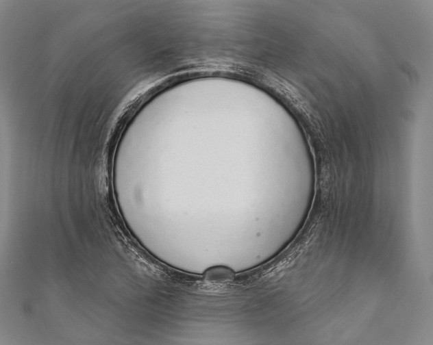 X0000110981172200907101403