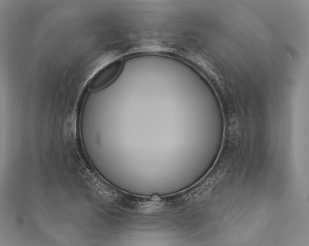 X0000110981173200907101403