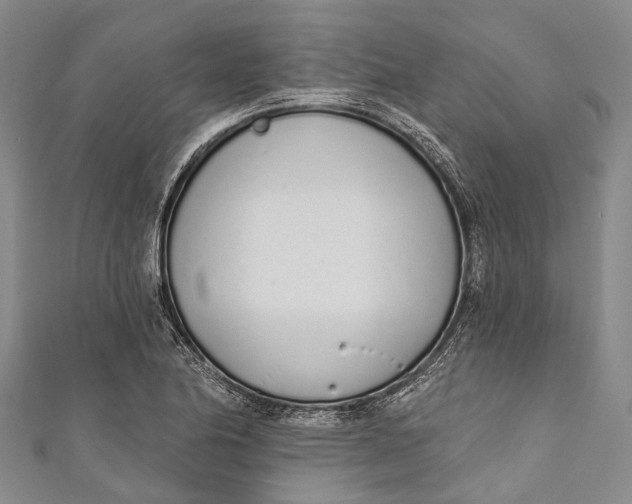 X0000110981174200907101403