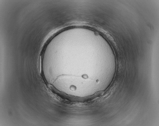 X0000110981175200907101403