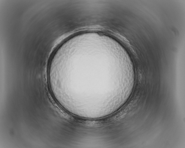 X0000110981176200907101403