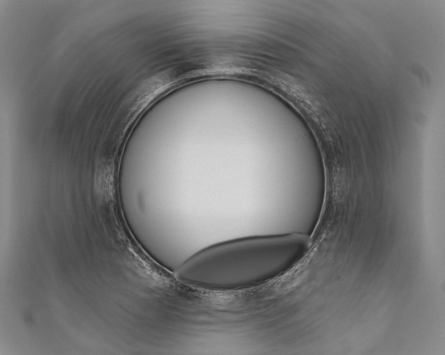 X0000110981177200907101403