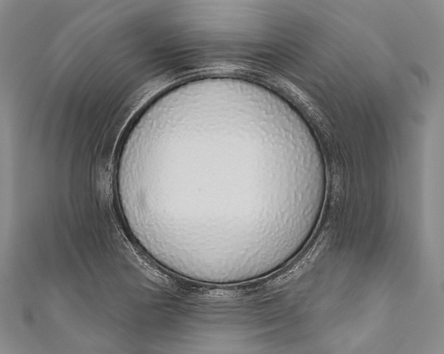 X0000110981178200907101403