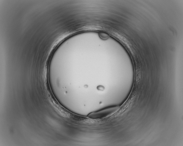 X0000110981179200907101403