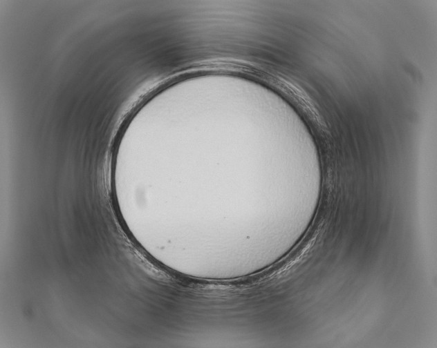 X0000110981180200907101403