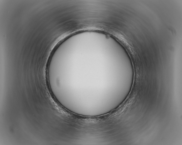 X0000110981181200907101403