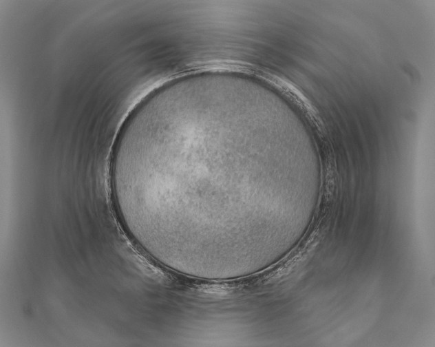 X0000110981182200907101403