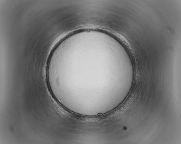 X0000110981183200907101403