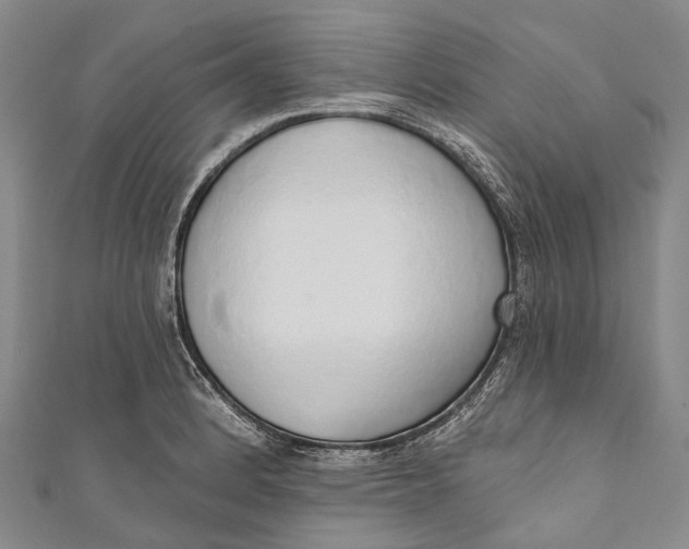 X0000110981184200907101403