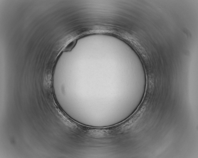 X0000110981185200907101403