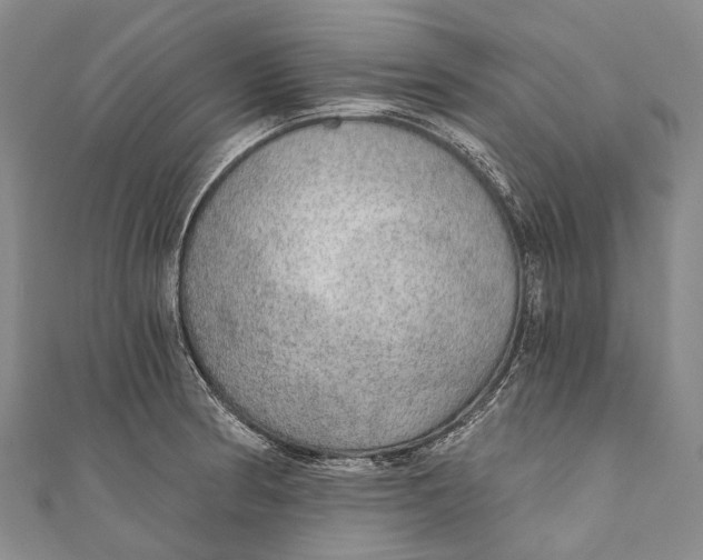 X0000110981186200907101403