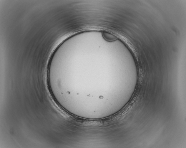 X0000110981187200907101403