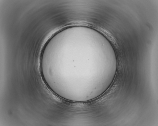 X0000110981188200907101403