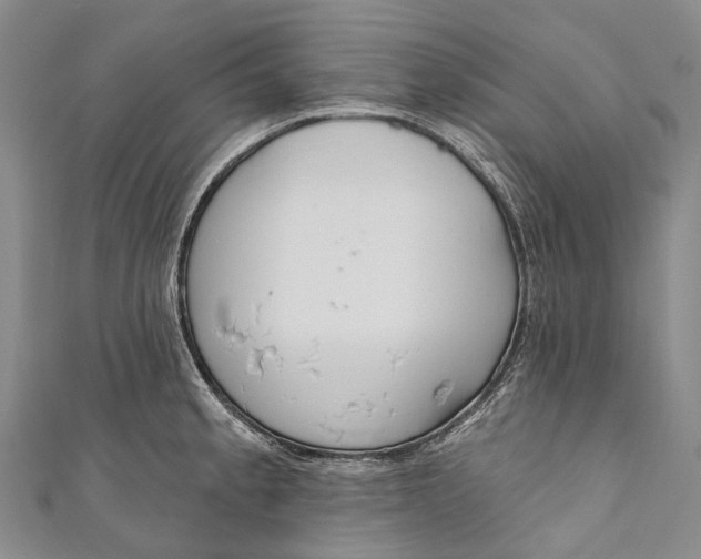 X0000110981189200907101403