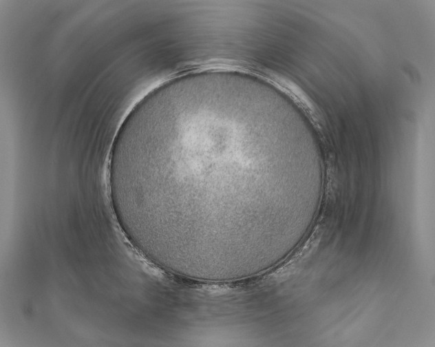 X0000110981190200907101403