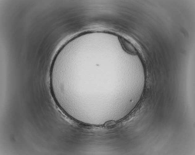 X0000110981191200907101403